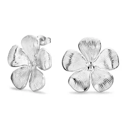 vedenkestävät kukka korvarenkaat  teräs - OCEANA