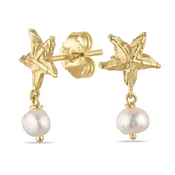 meritähti helmi korvarenkaat  kullattu messinki - Eliné