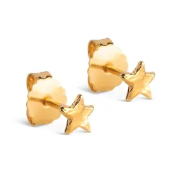 Enamel Star Energy nappikorvakorut  kullattua hopeaa