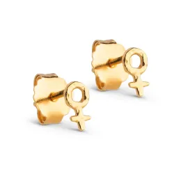 Enamel Feminine Power nappikorvakorut  kullattua hopeaa