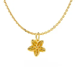 Izabel Camille Rosalina kaulaketju, jossa on riipus  kullattua hopeaa