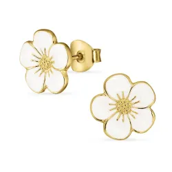 näytepakkaukset leinikki nappikorvakorut  kullattua hopeaa