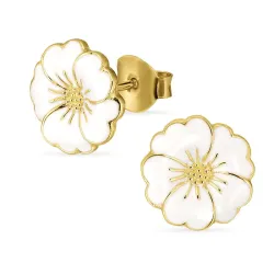 näytepakkaukset esikko nappikorvakorut  kullattu hopea